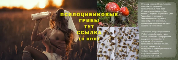 гидропоника Алексеевка