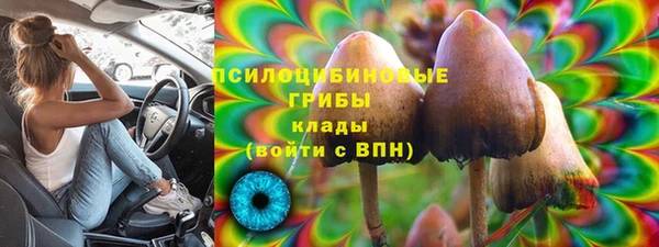 Альфа ПВП Алексин