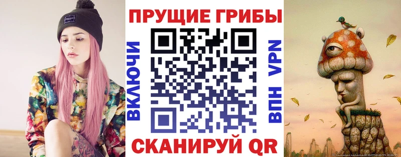Купить  Южно-Сухокумск  Галлюциногенные грибы мицелий 